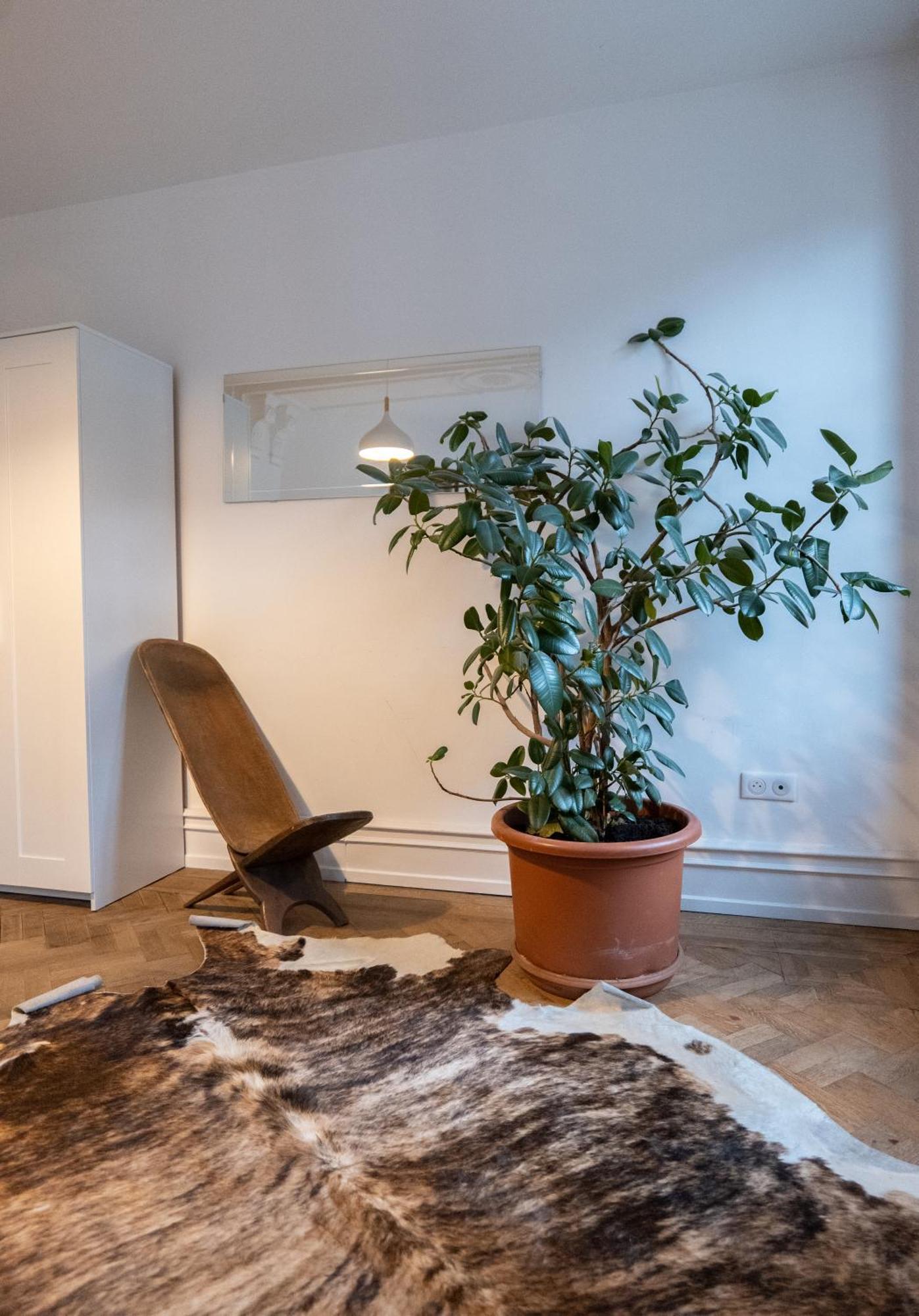 שטרסבורג Les Appartements Rue Des Veaux - Quartier Cathedrale מראה חיצוני תמונה